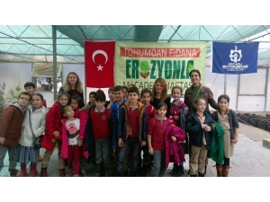 Kartepeli Minikler Meşe Palamudu Tüpledi