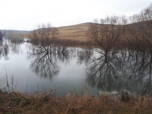 Baraj Suları Altında Kalan Ağaçlar Kirlilik Oluşturacak