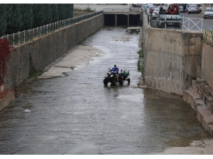 Haliliye Belediyesinden Larva Mücadelesi