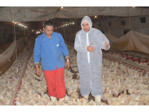 Beyaz Etteki Risk Kapıda