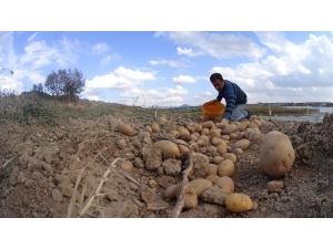 Afyonkarahisar Patates Üretiminde 3. Sırada