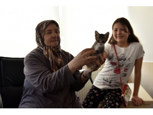 11 Ayda Bin 119 Hayvan Sahiplendirildi.