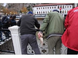 Oltasını Kapan Yeşilırmak’a Koştu