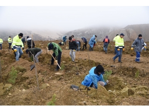 Madenciler, Öğrenciler Ve Ormancılar El Ele Fidan Dikti