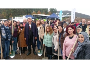 Kartepeli Minikler Fidan Dikti