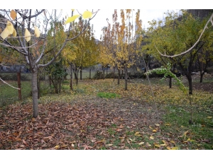 Beytüşşebap’ta Yağış Sonrası Kartpostallık Görüntüler Oluştu