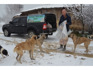Kırsaldaki Sahipsiz Sokak Hayvanları Unutulmadı