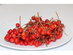 Bu Meyve Kansere Karşı Koruyor