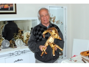 Ağaç Köklerini Sanata Dönüştürüyor