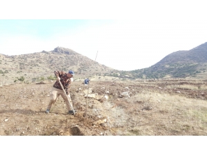 Sınırda Üretim Seferberliği