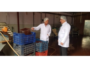 Kebabı Ve Şekeriyle Ünlü Kestaneler İçin Tanıtım Başlatılacak