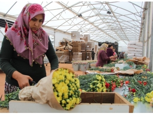 Avrupa’nın Çiçeği Antalya’dan