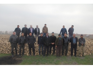 Pancar Üreticisi Kota Mağduru Oldu