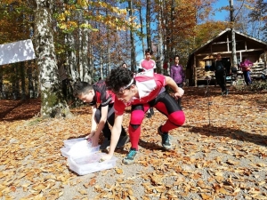 Türkiye Oryantiring Yarışması Ordu’da