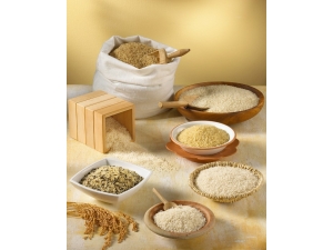 Pirinç Hücreleri Yeniliyor