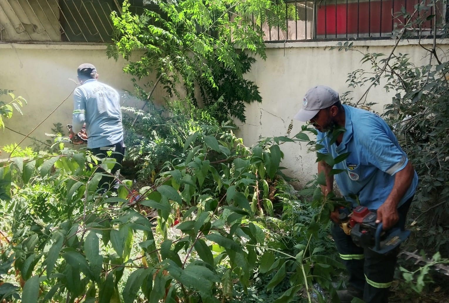 mersin-de-park-ve-yesil-alanlarda-bakim-calismalari-suruyor