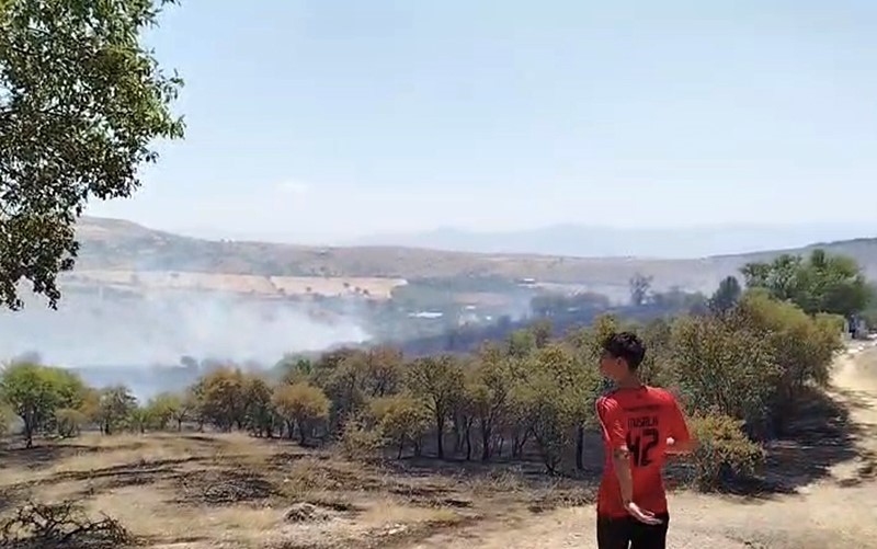 elazig-da-cikan-yangin-sonduruldu