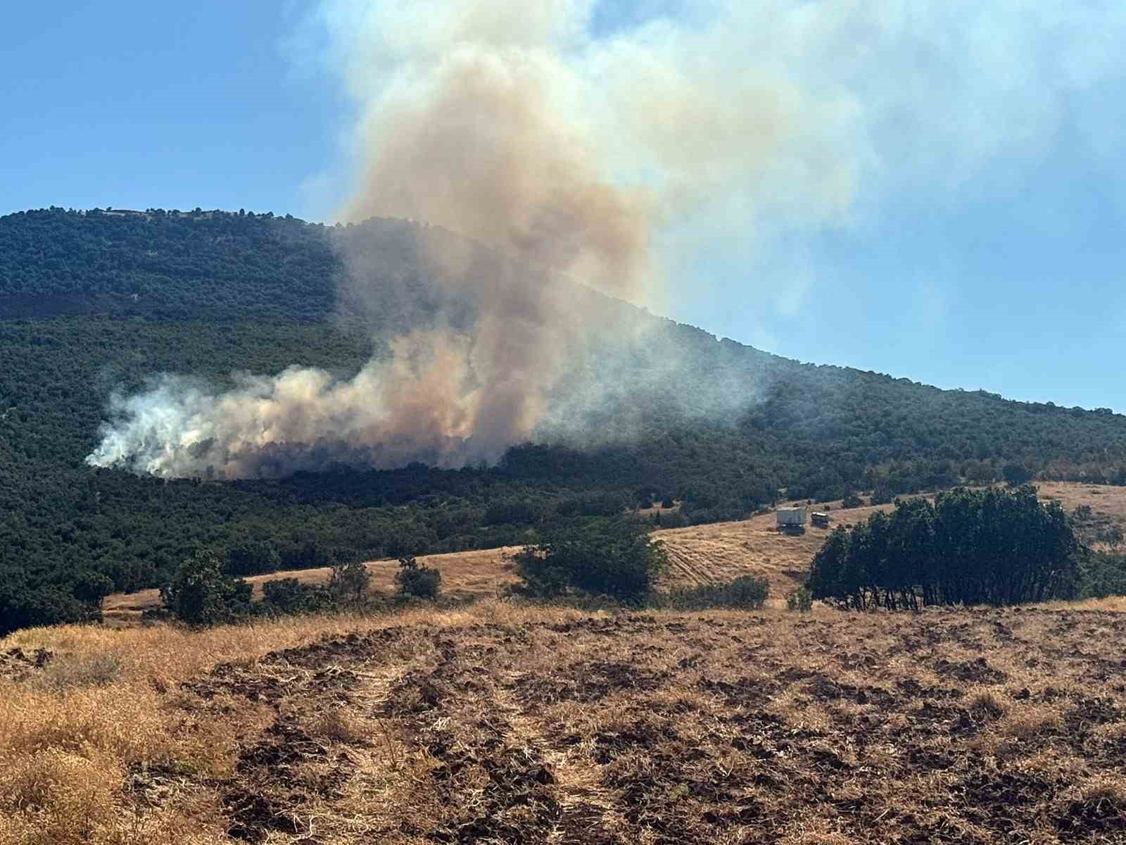 mihaliccik-ta-orman-yanginina-mudahale-suruyor