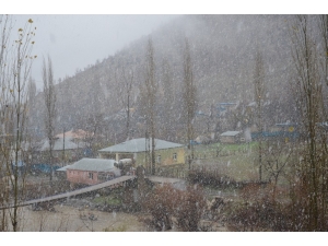 Beytüşşebap’ta Kar Yağışı Etkili Oldu