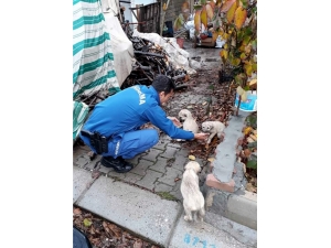 Askerin Minik Yavrulara Şefkati