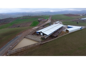 Gübre Maliyetini ’Sıfır’ladı