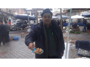 Bin 700 Rakımda Yetişen Bademler Şifa Kaynağı