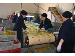 Salihli Osb’de İstihdam Rekoru Kırıldı