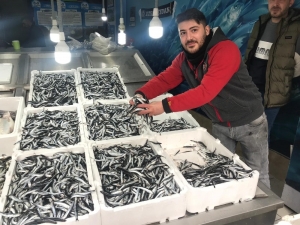 Hamsi Satışlarında Patlama Yaşanıyor
