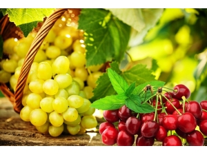 12 Ay Dünyaya Kiraz Ve Üzüm İhracatı Yapılacak