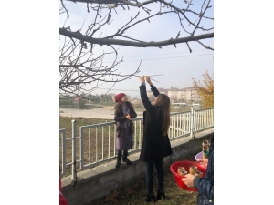 Öğrencilerden Kuşlara Yem