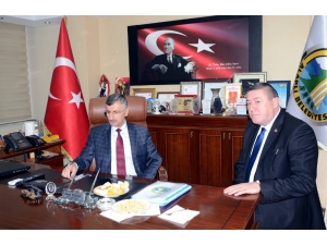Bektaş, Alaplı Belediye Başkanı Nuri Tekin’i Ziyaret Etti