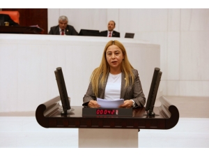 Milletvekili Esin Kara’dan, Mali Müşavirlere Arabuluculuk Talebi