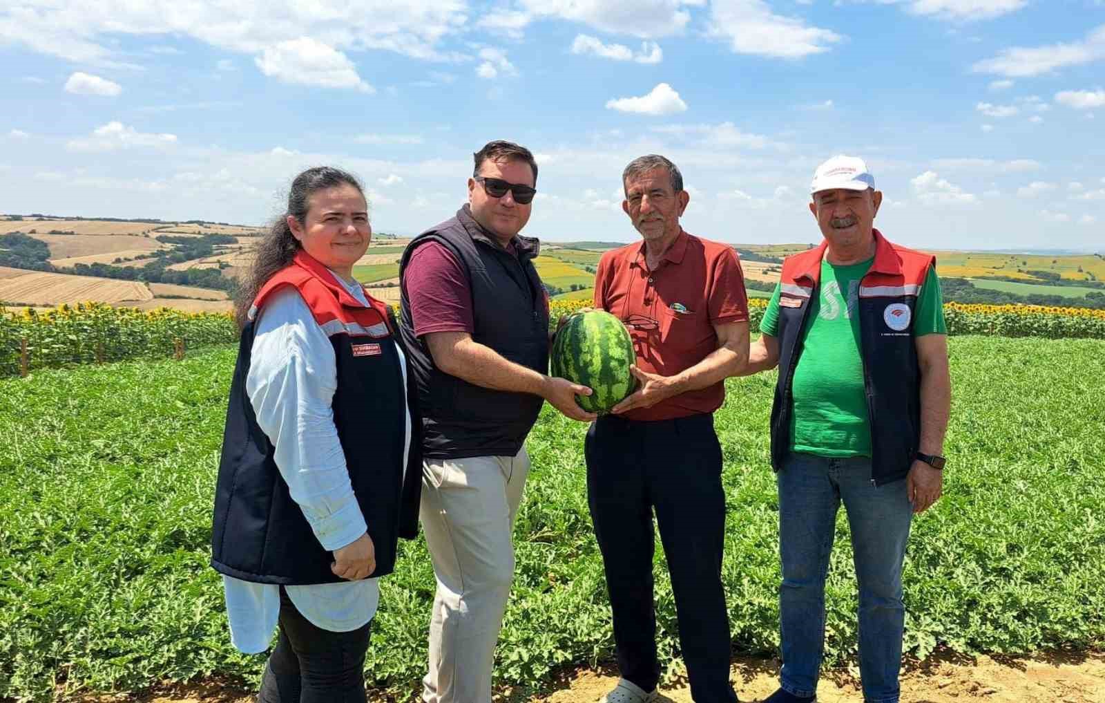 tekirdag-da-ilk-karpuz-hasadi-basladi