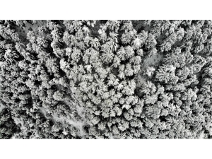 Denizli’nin Yüksek Kesimleri Beyaz Gelinliğini Giydi