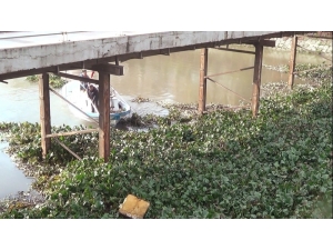 Asi Nehri’ni İstila Eden Su Canavarları Temizleniyor