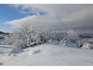 Uşak’ta Kar Yağışı Sonrası Kartpostallık Görüntüler