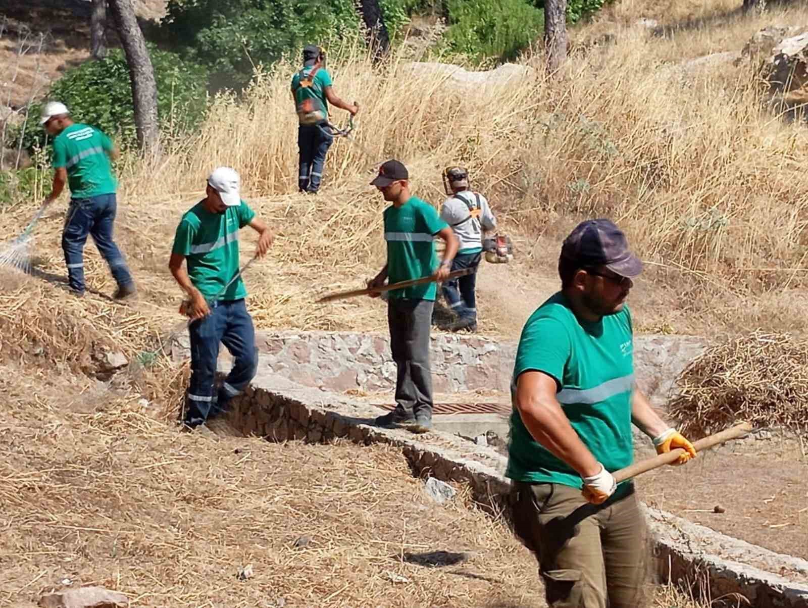 yanginlara-karsi-ayvalik-ta-kuru-ot-temizligi-araliksiz-suruyor