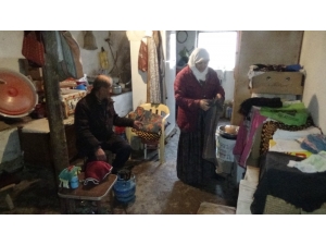 Ahırda Yaşam Mücadelesi Veren Çiftin Tek Hayali Ev Sahibi Olmak