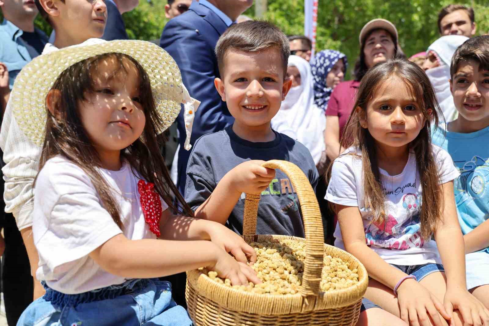 ulukale-dutunda-bu-yil-650-ton-rekolte-beklentisi