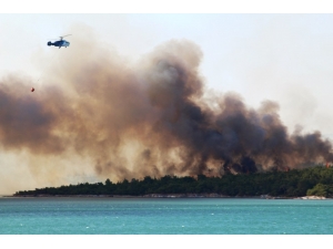 Türkiye Tabiatını Koruma Derneği Ayvalık Temsilcisi Özgen’den Anlamlı Talep
