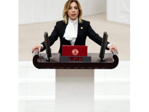 Öğrenciler Sordu, Ak Parti’li Gökcan Cevapladı