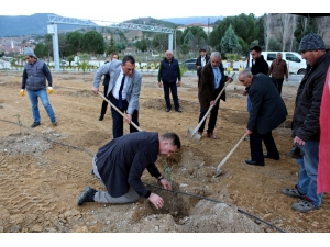 ‘Çocuklarımıza Bırakacağımız En Güzel Miras Ağaçtır’