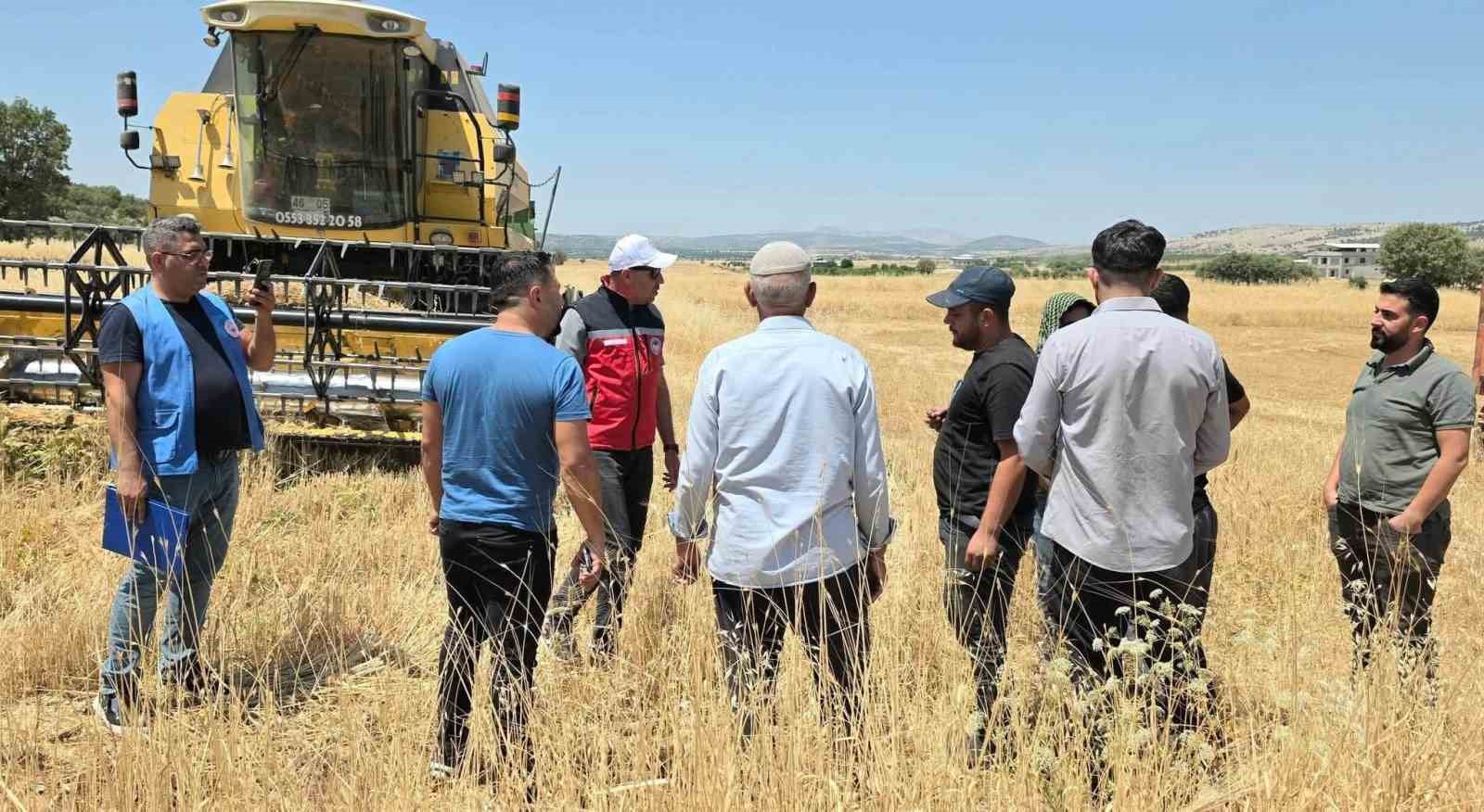 takep-kapsaminda-yuzde-75-hibe-ile-mercimek-tohumuna-muracaatlar-basladi