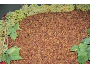 Türkiye Ve Venezuella Cumhurbaşkanlarının Siyasi Dostluğu İhracatta Rekor Getirdi