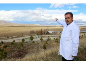 Kâra Geçen Votaş Markalaşıyor