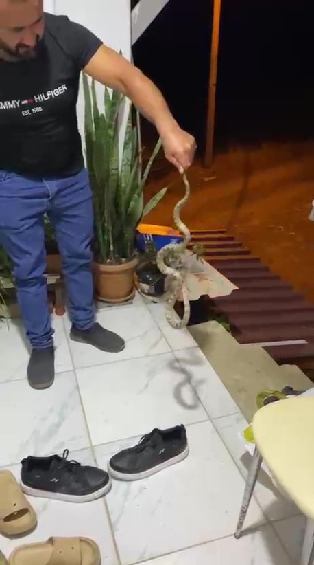 evine-giren-yilani-evime-gelme-bak-kafani-ezerim-diyerek-dogaya-birakti