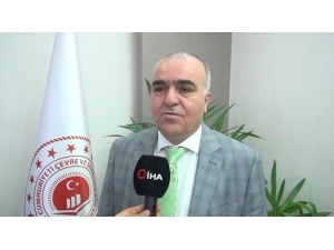 Batman’da Bin 17 Ağacın Kesilmesi Önlendi