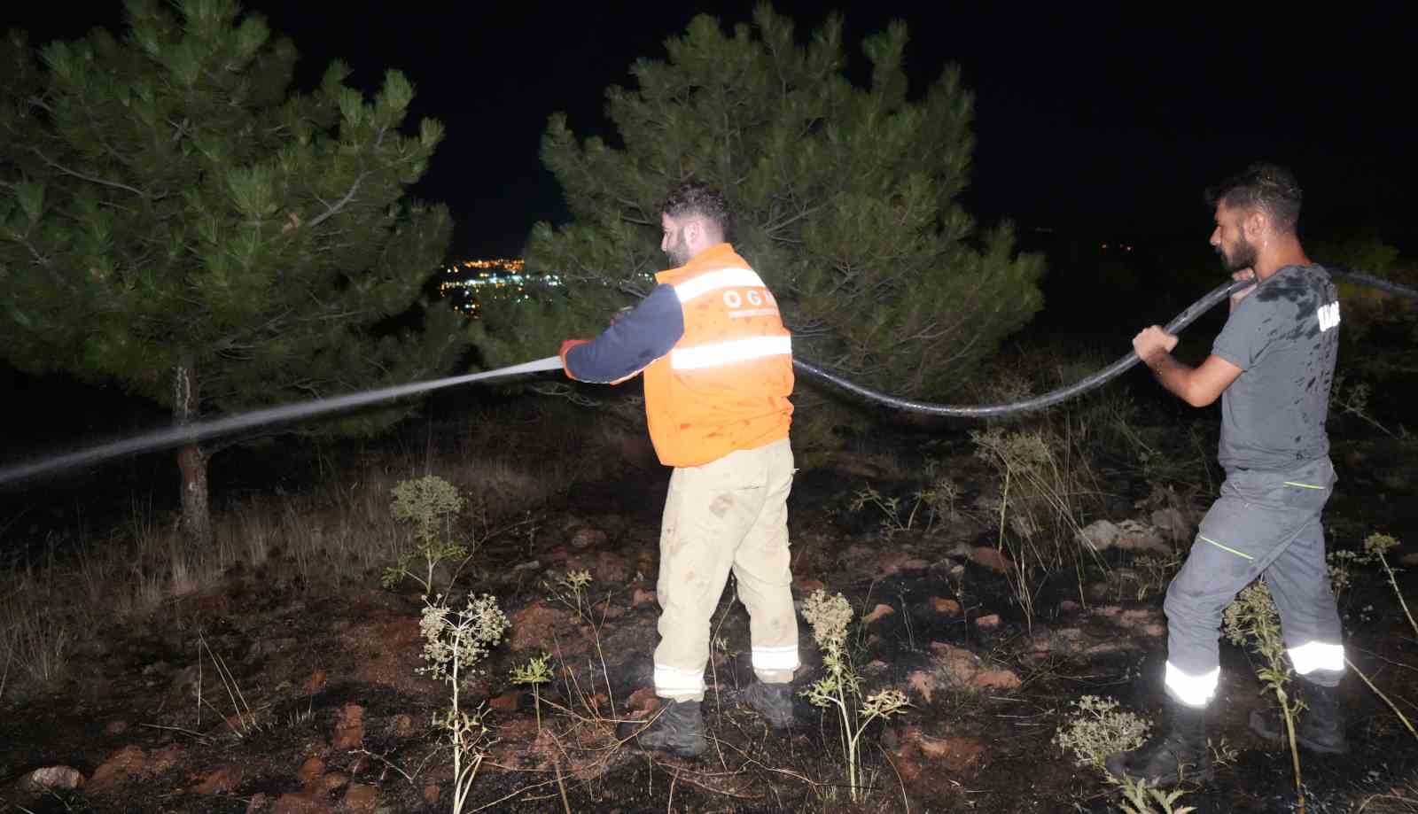bir-kus-cam-ormanlarini-alevlerin-esigine-getirdi-yangin-buyumeden-sonduruldu