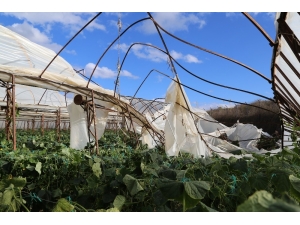 Antalya’da Hortum Seraları Vurdu