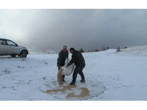 Hayvanlar Aç Kalmasın Diye Doğaya Yiyecek Bıraktılar